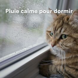 Album cover of Pluie calme pour dormir
