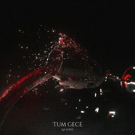 Album cover of Tüm Gece