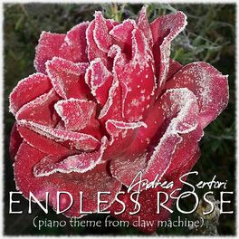 Album cover of Endless Rose (Piano Theme From Claw Machine)