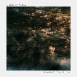 Album cover of Strange Beautiful