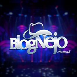 Album cover of Festival Blognejo (Ao Vivo)