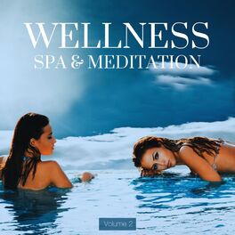 Album cover of Wellness, Spa & Meditation, Vol. 2