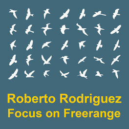 Album cover of Focus On : Freerange Roberto Rodriguez