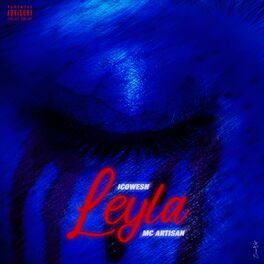 Album cover of Leyla