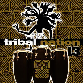 Album cover of Tribal Nation 13
