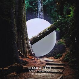 Album cover of Scent of Wood (Modera Remix)
