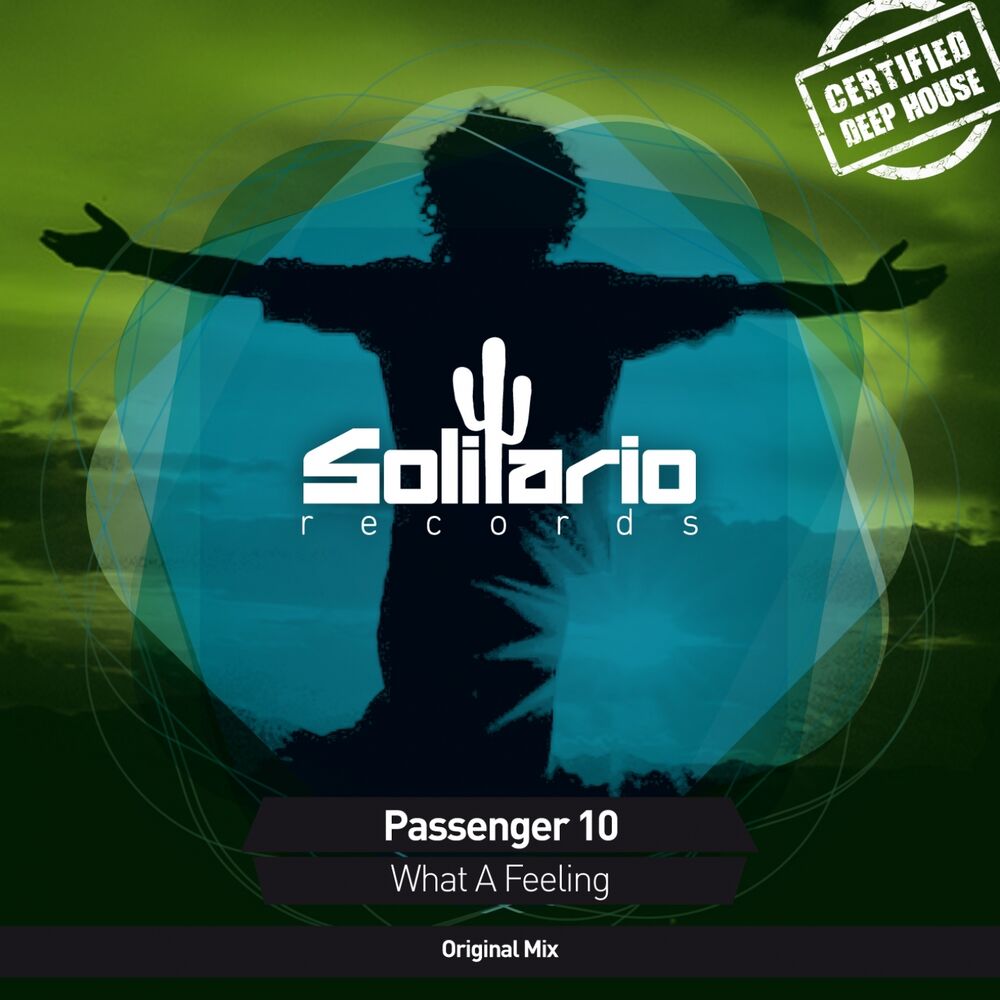 Passenger 10. Песня what a feeling. Passenger 10 - all i have. Feeling.