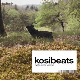 Album cover of Nature's Voice