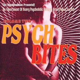 Album cover of Psych Bites: Volume 2