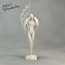 Album cover of Nightingale Floor
