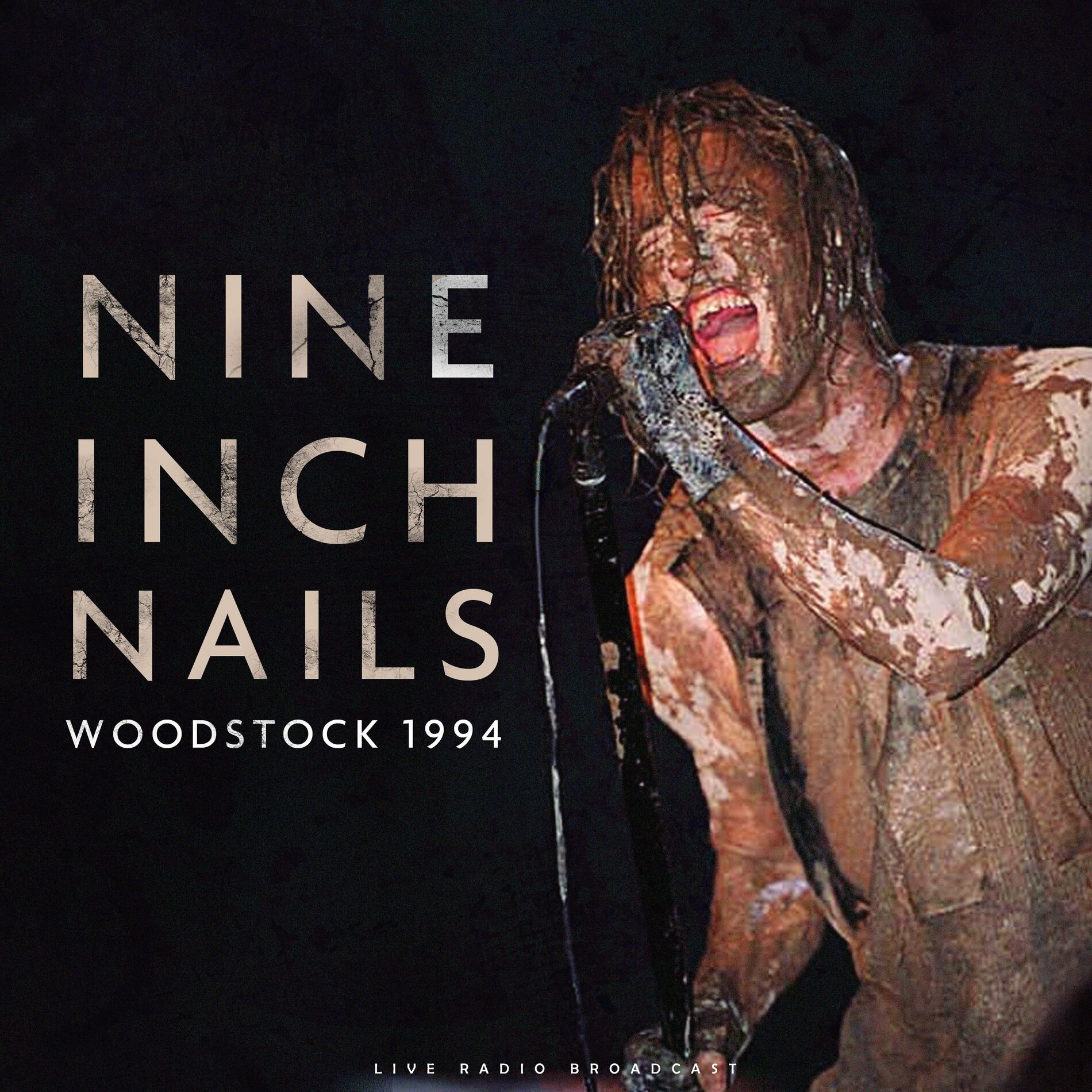 Nine Inch Nails - Woodstock 1994 (live): lyrics and songs | Deezer