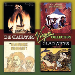 Album cover of The Virgin Collection