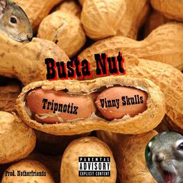 Album cover of Busta Nut (feat. Vinny Skulls)