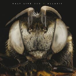 Album cover of Allaxis