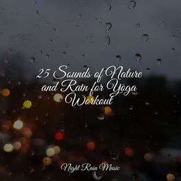 Album cover of 25 Sounds of Nature and Rain for Yoga Workout