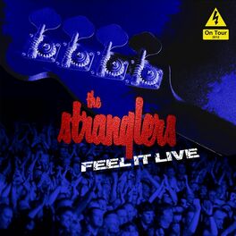 Album cover of Feel It Live