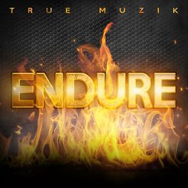 Album cover of Endure