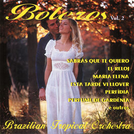 Album cover of Boleros, Vol. 2