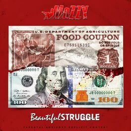 Album cover of Beautiful Struggle