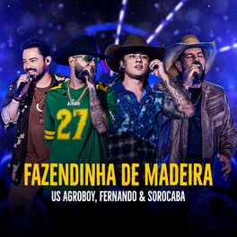 Album cover of Fazendinha de Madeira (Ao Vivo)