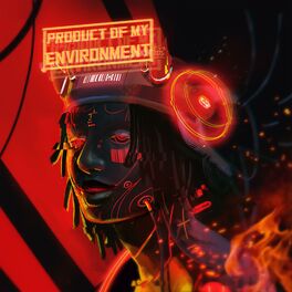 Album cover of Product of My Environment