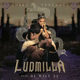 Album cover of Cobra Venenosa (feat. DJ Will22)