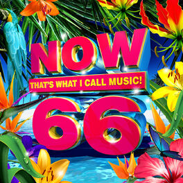 Album cover of NOW That's What I Call Music, Vol. 66