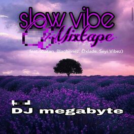 Album cover of Slow Vibe Mixtape (feat. Zlatan, Blaqbonez, Oxlade, Seyi Vibez)