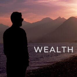 Album cover of Wealth