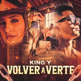 Album cover of Volver a Verte (feat. Dairon la Formula)