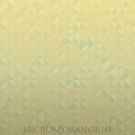 Album cover of Microsporangium