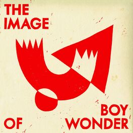 Album cover of The Image Of Boy Wonder