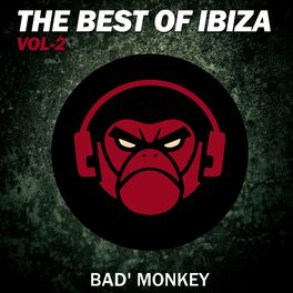 Album cover of The Best of Ibiza Vol.2, compiled by Bad Monkey