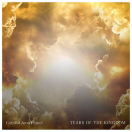 Album cover of Tears of the Kingdom