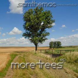 Album cover of More Trees EP
