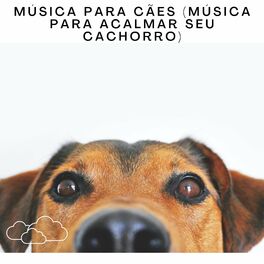 Album cover of Música Para Cães (Música Para Acalmar Seu Cachorro)