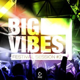 Album cover of Big Vibes - Festival Session #2