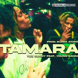 Album cover of Tamara