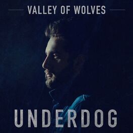 Album cover of Underdog