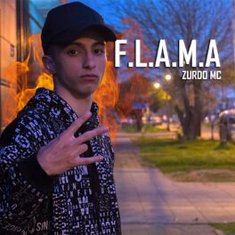 Album cover of F.L.A.M.A
