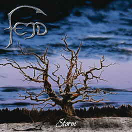 Album cover of Storm