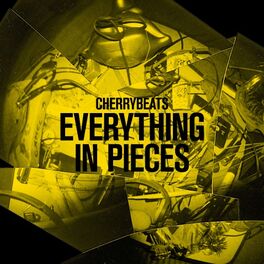 Album cover of Everything in Pieces