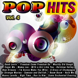 Album cover of Pop Hits Vol. 4