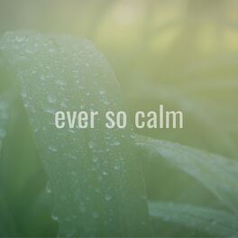 Album cover of Leaves