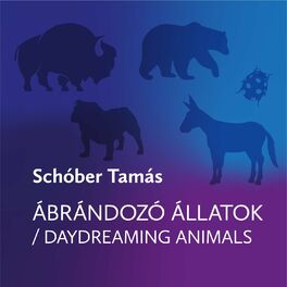 Album cover of Ábrándozó állatok (Daydreaming Animals)
