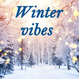 Album cover of Winter Vibes