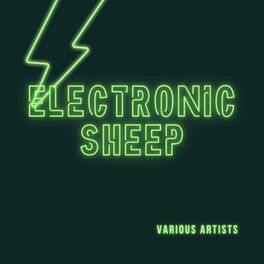 Album cover of Electronic Sheep