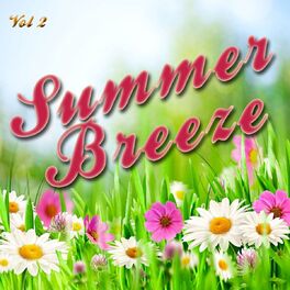Album cover of Summer Breeze, Vol. 2