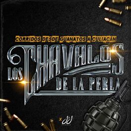 Album cover of Corridos Desde Guanatos A Culiacán