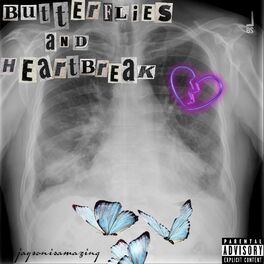 Album cover of butterflies and heartbreak.